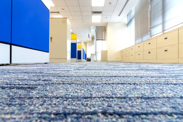 Business Carpet Cleaning in Lexington