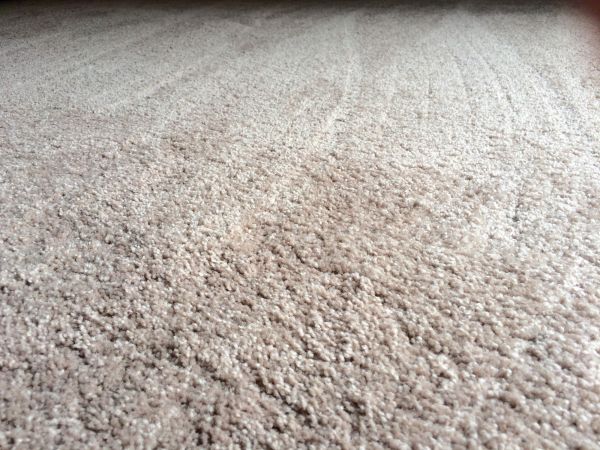 Plush Carpet Installation in Lexington