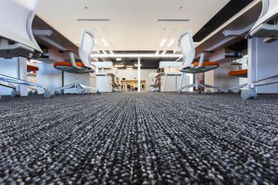 New Carpet Installation