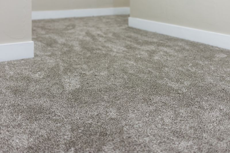 Fresh Carpet Surface