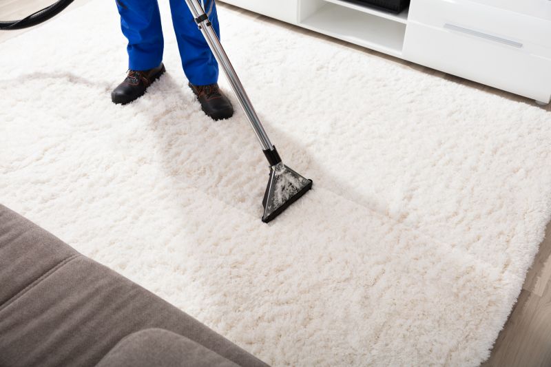 Condo Carpet Cleaning